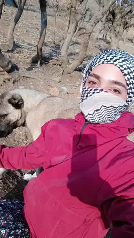 böcrüküm 😊 #kocere🥰  #kesfet  @Koçêrê_Amêdê @TEYRE XERIBIYE🦅 @keyxusrev 2+2=1💚☀️❤️✌️✌️✌️ @𝐘𝐀𝐑𝐀𝐋𝐈 𝐘𝐔̈𝐑𝐄𝐊❤️‍🩹 @Emrah Kıyga☀️ @derman @Zınar @zaza_memo_can21 @Rıza polat @CANAN @🦅CANPOLAT ERHAN 🦅 @𝐁𝐚𝐲 𝐊𝐨ç𝐞𝐫🌼 @💥Ⓜ️ℹ️®️⭕️💥   💥DERSÎM💥 @Şilan karaman @𓅪𓂀✰𝐒€𝕽Ç€✰𓂀𓅪 @ozan......🥀şahin.....65....🌼 @𝑶𝒛𝒂𝒏✪ @Taner bozan @koçer reya dur @ALİ @bal Petek 34 @Xorte amede 21 @⚔️İpek49⚔️ @Şaban Gedik @RESUL🦅 