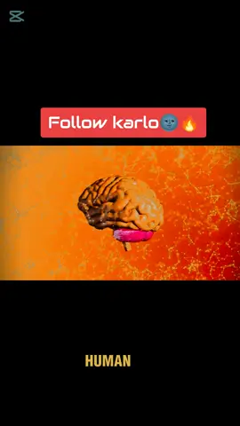 Day 5 Dark Psychology 🌚🔥#psychologyfacts #motivationalvideo 