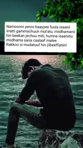 #ethiopian_tik_tok🇪🇹🇪🇹🇪🇹🇪🇹 #ethiopian_tik_tok🇪🇹🇪🇹🇪🇹🇪🇹 #ethiopian_tik_tok🇪🇹🇪🇹🇪🇹🇪🇹 #ethiopian_tik_tok🇪🇹🇪🇹🇪🇹🇪🇹 #habeshatiktok #ethiopian_tik_tok🇪🇹🇪🇹🇪🇹🇪🇹 #ethiopian_tik_tok🇪🇹🇪🇹🇪🇹🇪🇹 #habeshatiktok #habeshatiktok #ethiopian_tik_tok 