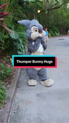 To kick off Easter Season, here’s a little hug from Thumper. There’s a new Thumper Easter 🐣 Popcorn Bucket available at Disney World! Check out Fantasy Land News for all the information! #disney #disneyworld #fyp #waltdisneyworldresort #waltdisney #waltdisneyworld #thumper #easter #bambi #popcornbucket #disneyhug #fln #fantasyland 