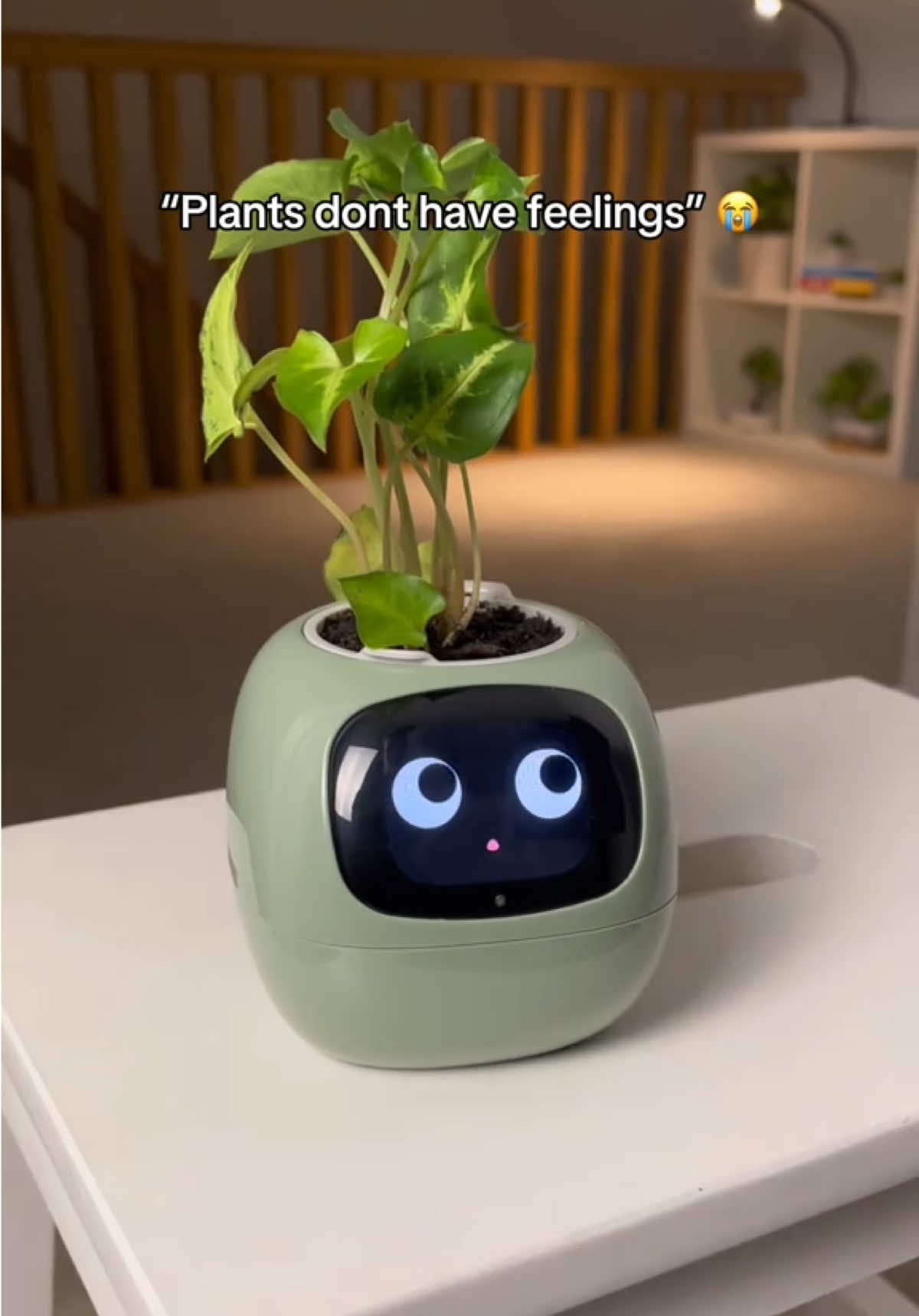 What color are you buying? 🌱 Check our website #ivysmartplant #plantagotchi #smartplant #plantrobot #plantpotrobot #ivy #ivyplant #instamademebuyit #fyp #fy #reels #reel #viral #trend #gift #perfectgift #giftideas