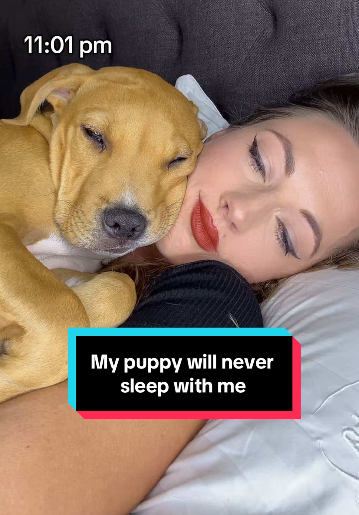 Can you relate? 😃 . #dog #dogsoftiktok #dogs #puppy #dogslife #PetsOfTikTok #pet 