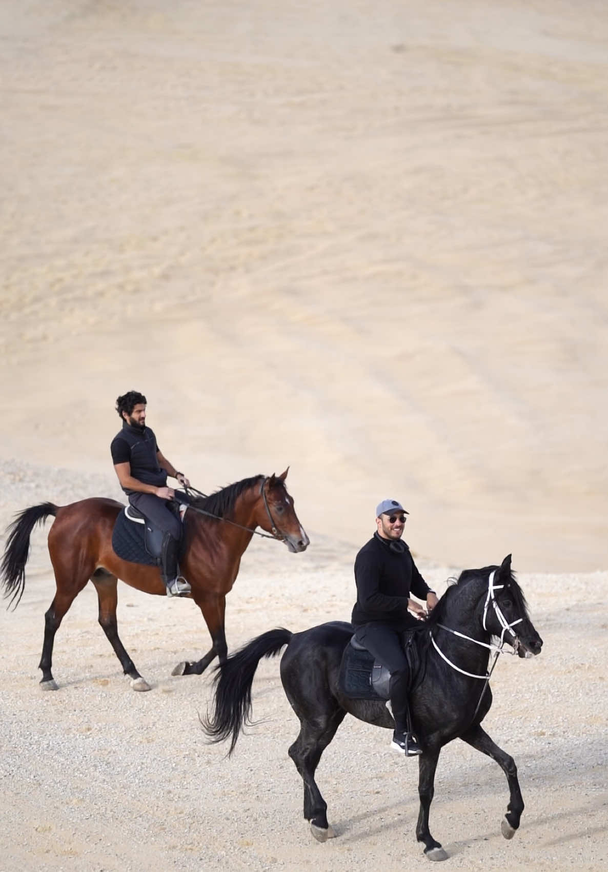 #خيل_وخياله🐎 #BlackHorse #حصان #نزله_السمان_الهرم👑💸👹 #الخيل_العربي #خيول 