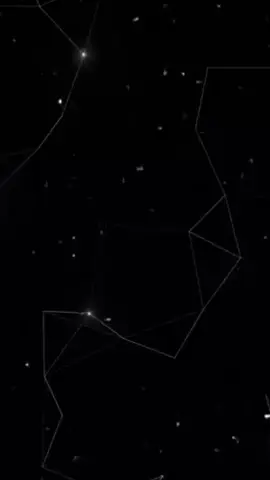 #وكاله النبلاء في برنامج الزينه لايف😎🧿