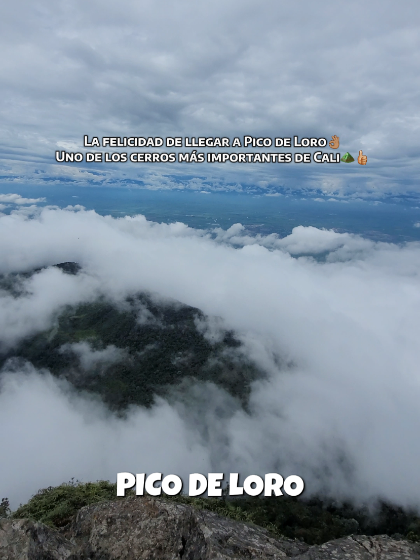 La felicidad de llegar a Pico de Loro👌🏽 Uno de los cerros más importantes de Cali⛰️👍🏼 Ya realizaste este reto en Cali? Vamos... WHATSAPP:3168907307 GUÍA LOCAL Caminata todos los días de la semana... #cali #valledelcauca #calivalledelcauca #caliescali 
