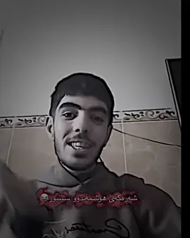 #fyp #foryou #foryoupage #sabat #baban #masaremasoud #masare #hozan #hozanhallo #slimane #hawler #kilar #شعب_الصيني_ماله_حل😂😂 @SeTo 