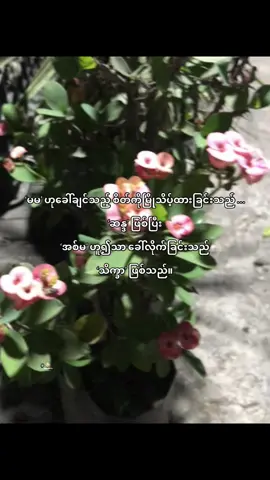 😩💗 #fyp #fypシ゚ #fyppppppppppppppppppppppp #foryou #tiktok #nadi #viewတေရှယ်ကျ #ရောက်စမ်းfypပေါ် #🪐