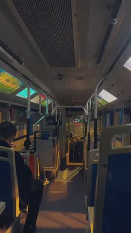 شجر بہت تھے مگر کوئی سایہ دار نہ تھا۔