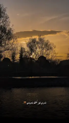 بيها اعيش سنين ﮼عمري 🤎،                                                                       ،                             ،                                 #اخر_اشي_نسختو💭🥀 #اكسبلور #ايلازيغ #تصويري #ترند #fyp #foryou #foryoupage #اغاني_عراقيه #ستوريات #الازيغ 