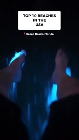 🌎 USA Beach Bucket List 👇 Drop your fave or get wanderlust! 📍Cocoa Beach, FL: Surf central + Rock launches 🚀  📍Siesta Key, FL: Quartz sand that stays cool 👟   📍Duke Kahanamoku, HI: Surf history + sunset magic 🌅   📍Coopers Beach, NY: Hamptons chic meets ocean breeze 🥂   📍Wailea Beach, Maui: Luxury vibes & water bluer than your DMs 💎   📍Coronado, CA: Sand that sparkles like fairy dust ✨   📍Poipu Beach, Kauai: Monk seals & natural pools 🌊 📍Clearwater, FL: Dolphins + golden-hour selfies 🐬   📍Cannon Beach, OR: Haystack Rock mood 🖤   📍Beachwalker, SC: Peace, palms, & tidal zen 🧘♀️   📍Driftwood Beach, GA: Moody vibes & Insta-worthy logs 📸 📸 All the rights reserved to these beautiful people: @djwcphoto @baelotravels @geektravelshow @tampabay.aerials @pockethawaii @johnehawaii @joannasteidle @southamptondailyphoto @adams__adventures_ @katea594 @sevakhakoyan @aaron__adkins @jennypennyleeb @loriannah @hallmarkresortcannonbeach @xue891 @beachykeenbykk @takeone_snap @shawnandaaron @patrickc_la #top10 #beaches #bioluminescence  #beachvibes  #plankton 