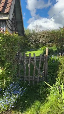 Soon 💚🌼🐝🌸