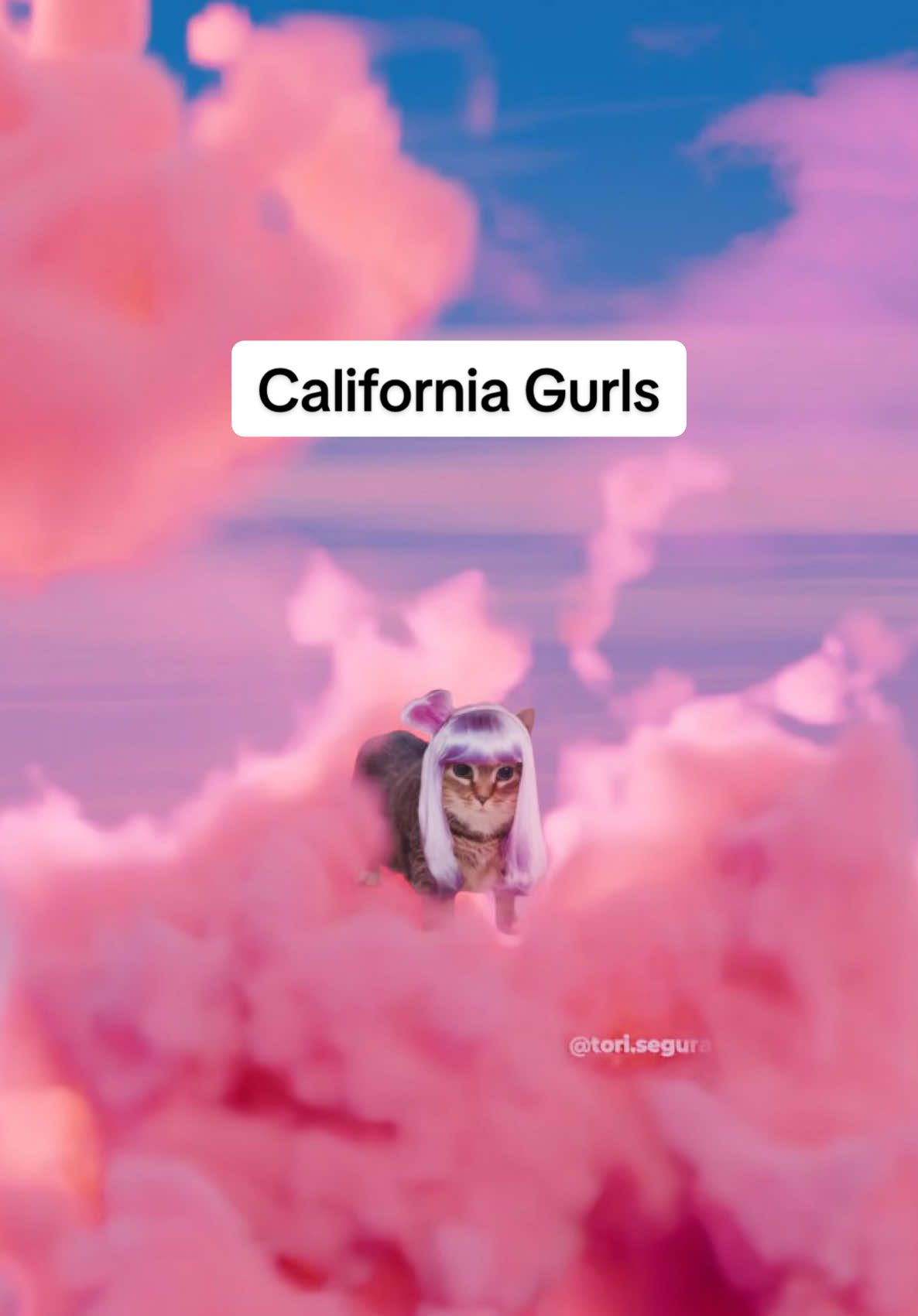 California Uias are unforgettable 🤩 OIIA Cat x California Gurls by Katy Perry & Snoop Dogg @oiiacat_ethel #cats #lyrics #katyperry #fyp #foryou 
