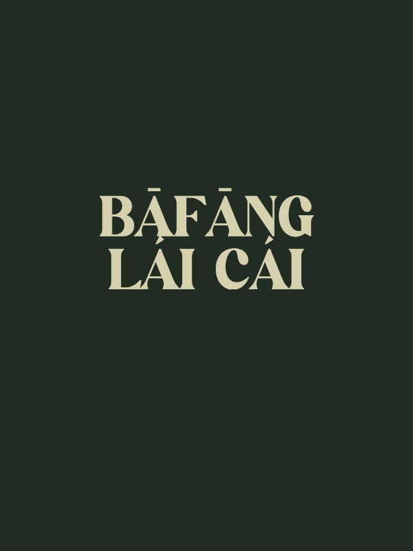 Ni hao fine shyt #radilyrcs #lyrics #foryou 