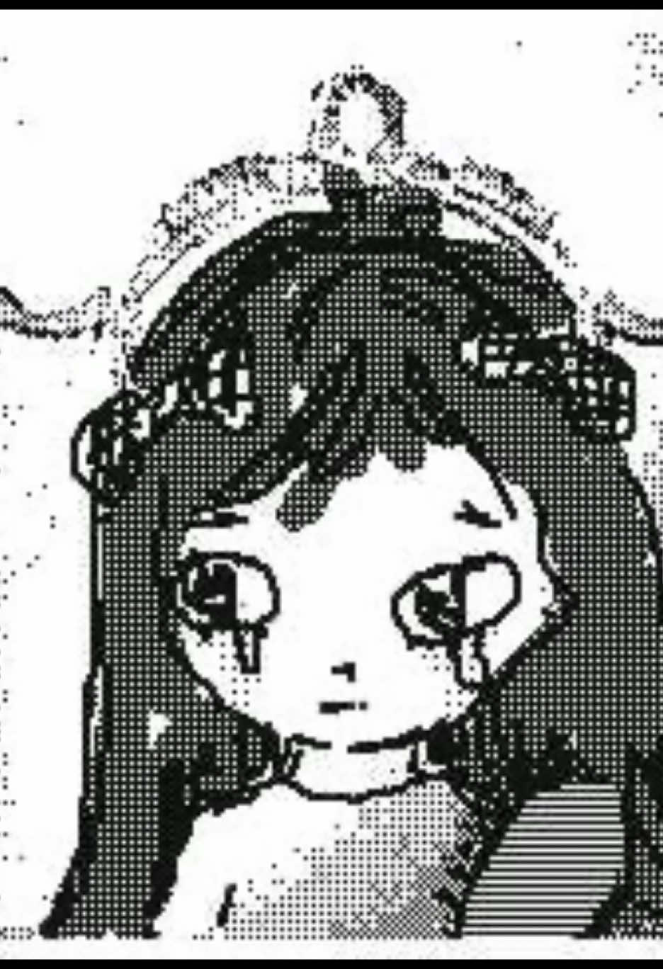 #2dsxl #flipnotestudio3d #animation 