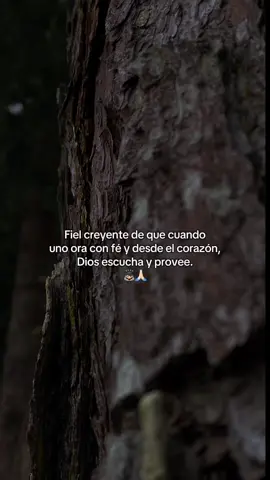 🙏🏻🫂🫂.                      #videoscristianos #jovenescristianos #tiktokcristiano #Dios #jesus #parati #fe #viraltiktok #frasesbonitas 