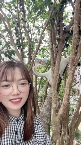 🍇ぶどうを食べましょうか🤤😋