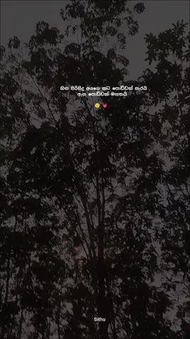 😌💗 . . . #foryoupage #foryou #whatsappstatus #srilankan_tik_tok🇱🇰 #fyyyyyyyyyyyyyyyy #fypシ゚ #wadan #girl #onemillionaudition 