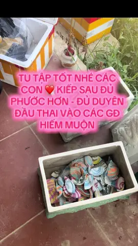 An táng 65 thai nhi về từ phòng khám ❤️