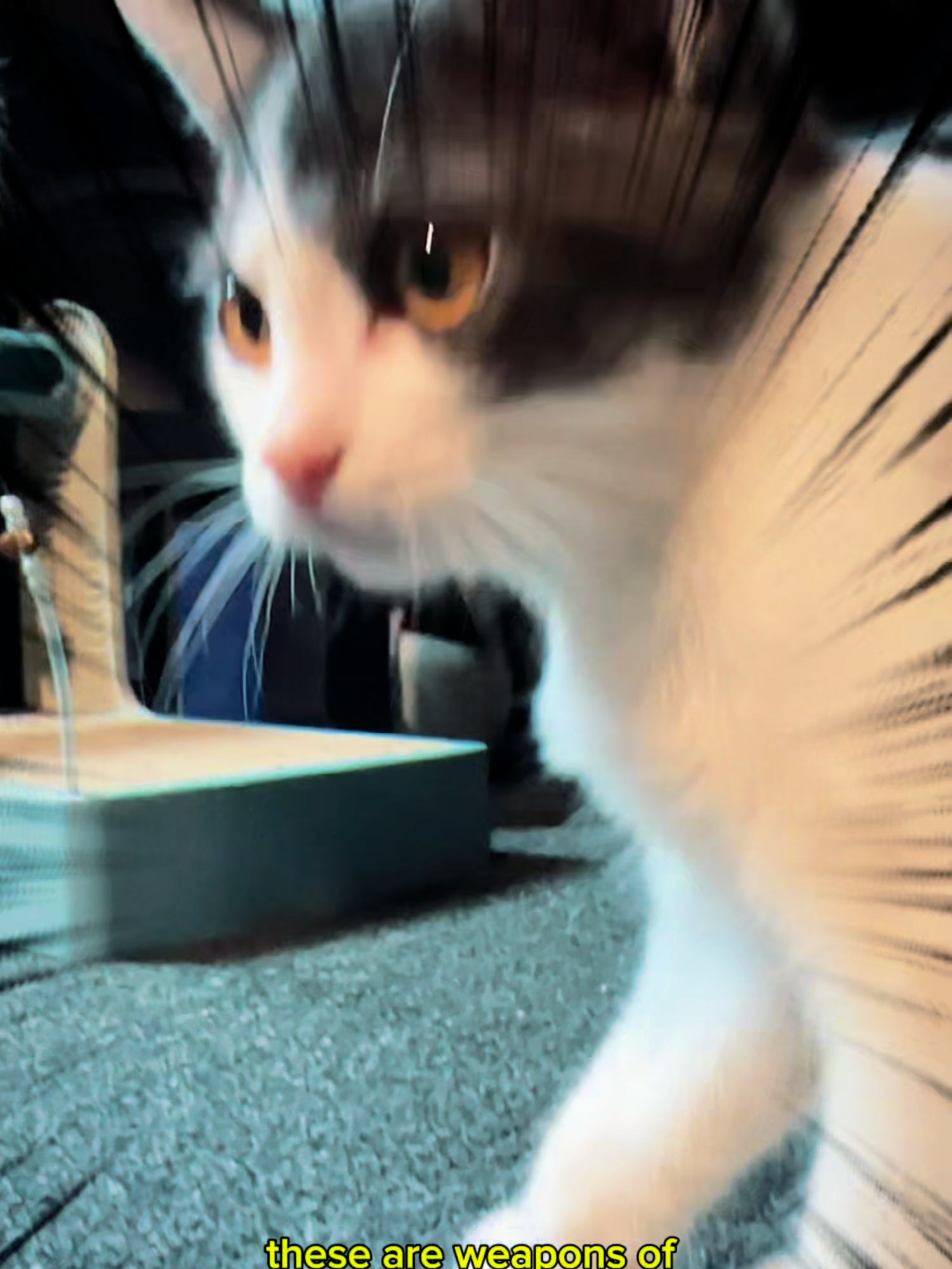 5 minutes and my cat creates chaos! But the Airbot iClean Omni X cleans it all—wet & dry! 🐾✨ #cleaning#messypets#pet#effortlesscleaning#quickclean #wetanddryvacuum #cleanchallenge#staincleaner#windowscleaner #floorwasher#Clean101 #transformer #AirbotiCleanOmniX#Airbot#AirbotSingapore