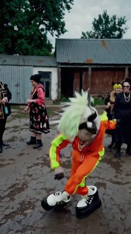 Everybody loves the llama! #DimaDima #dimitry #llama 