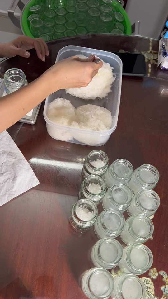 Yến chưng tươi#toyennguyenchat #yentho #toyen #yennhanuoi #nhayen #xuhuong #chimyen 