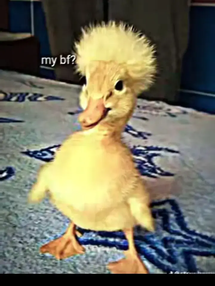 #သူငယ်ချင်းလုပ်ပေးထားတာလေး😘 ာ