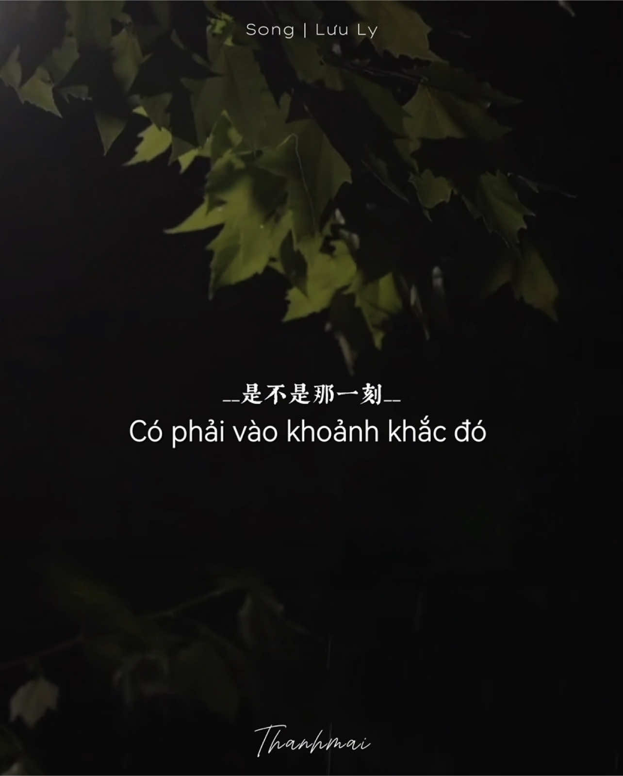 Nếu không phải vì trái tim em cứ khăng khăng ghi nhớ, thì tình yêu ấy đã bị nỗi đau nhấn chìm từ lâu roii .          .                                  _                                                                 _  .                                  _                                                                 _  #nhactrungquoc #lyrics #vietsub #nhactrung #流离 #luuly #thanhmai02112005 
