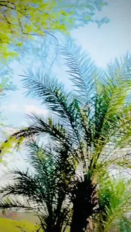 ###unfreeze #hadaliala #CapCut @مصطفیٰ بھچر @°♡✧*ⲧ𝙞ωɐกɐ*✧♡° @𝗔𝗽𝗻𝗮 𝗵𝗮𝗱𝗮𝗹𝗶😎 @S H A M I @Abdul Fahad Bhaseen @❤️ج ا ن ی @سلیقہ😍✌️ 