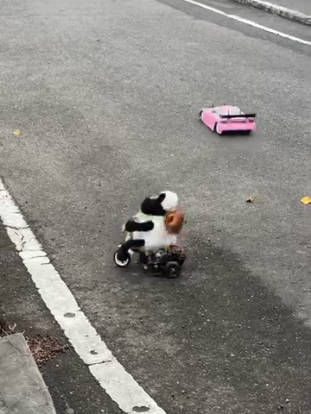 Shaun The Drift 🐑🐑 #shaunthesheep #tokyodrift #rc 