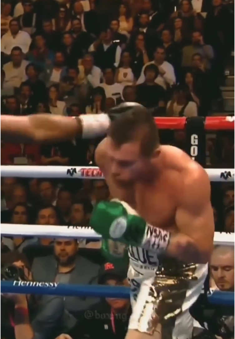 Canelo got Ultra Instinct ! 😈 #fyp #boxing🥊 #viral_video #viralvideos #edit #edits #artist #dodgers #mexico #mexico🇲🇽 #mexican #mexicantiktok #dragonball #dragonballsuper #goku #ultrainstinct 