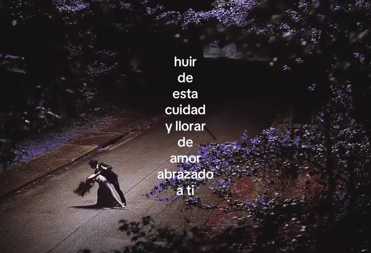 Quisiera volver atrás y otra vez bailar abrazado a ti… #abrazadoati #tvd #thelastdance #canciones #letras #fyp #kevinkaarl 
