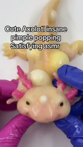 Cute axolotl skin care #CapCut #axolotl #asmr #satisfying #fypシ #relaxing #DIY #cantlookaway #viral 