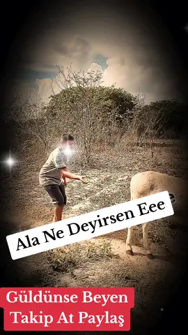 #donkey #eşşek #essek #eşek #esek #gulmeli #gulmeli_videolar #gulmelivideolar #gülmeli #gülməli #gülməlivideolar #prikol #prikollar #zarafat #komedi #komedia #komedixana #komedixana😂 #komedixanatiktok #comedi #cimedia #comedyvideo #comedyvideos #comedy #комедия #qizlar #qızlar #qiz #qız #qizlarinmekani #qizim #qızlargramm #qızım #viralvideo #viraltiktok #virall #viral_video #viralvideos #viralditiktok #tiktok #tiktokviral #tiktoknews #tiktoker #trend #trendy #trends #tredding  #trendingvideo #trendingsong #trendmusic #trendingtiktok #tiktoktrend #tiktoktrending  #fy #fyp #fypシ #fypシ゚viral #fypage #fypdongggggggg #fypp #fypdong #fypシ゚  #fyppppppppppppppppppppppp #foryou #foryoupage #foryourpage #foru #fortnite #foruyou  #foryoupageofficiall #foryoupage❤️❤️ #movie #film #animals #funny #funnyvideos #funnyvideo #funnymoments #funnytiktok #funnyy #funnymemes #funnyanimals #TikTokFashion #fypp #fup #fupシ #fupage #fur #furyou #funnyvideos #funnyvideo #fypdong #fyppp #fypシ゚ #fypgakni #pranks #prankvideo 