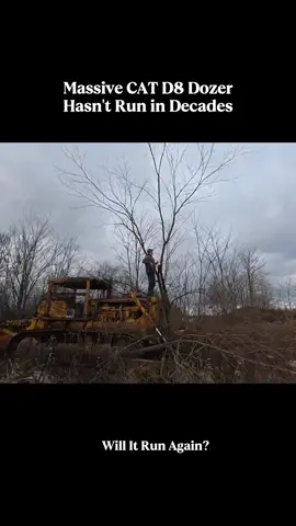 Will It Run Massive Cat D8 Dozer sitting for years?#willitrun #restoration #old #recovery #engine #repair #tractor #truck #deisel #tiktok #fyp 