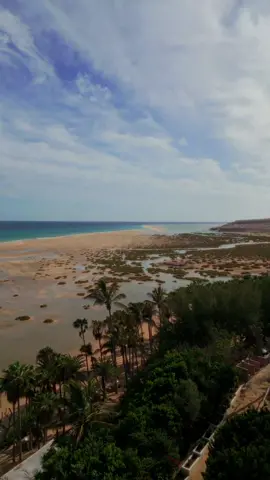 FAM IN FUERTEVENTURA! 🏝️ 🥥 🏄‍♂️ 🤿  @Ismael Abadal @Hamza Zaidi @Nines 