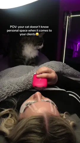 He just wants to be included in the process😅🤍 #catsoftiktok #cute #cat #fyp #catlovers #kitten #catfacts #catvideos #fypp #pets #girlcat #boycat #cattips #lashes #beauty #therapy #separation #anxiety #lashextensions 