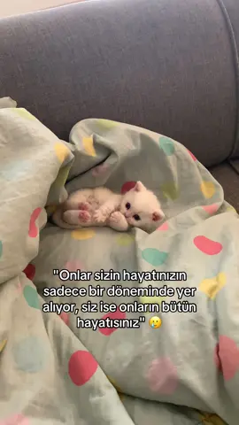 🥺 #fypage 