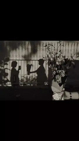 🥹🫀>> . . . #robi_aron 