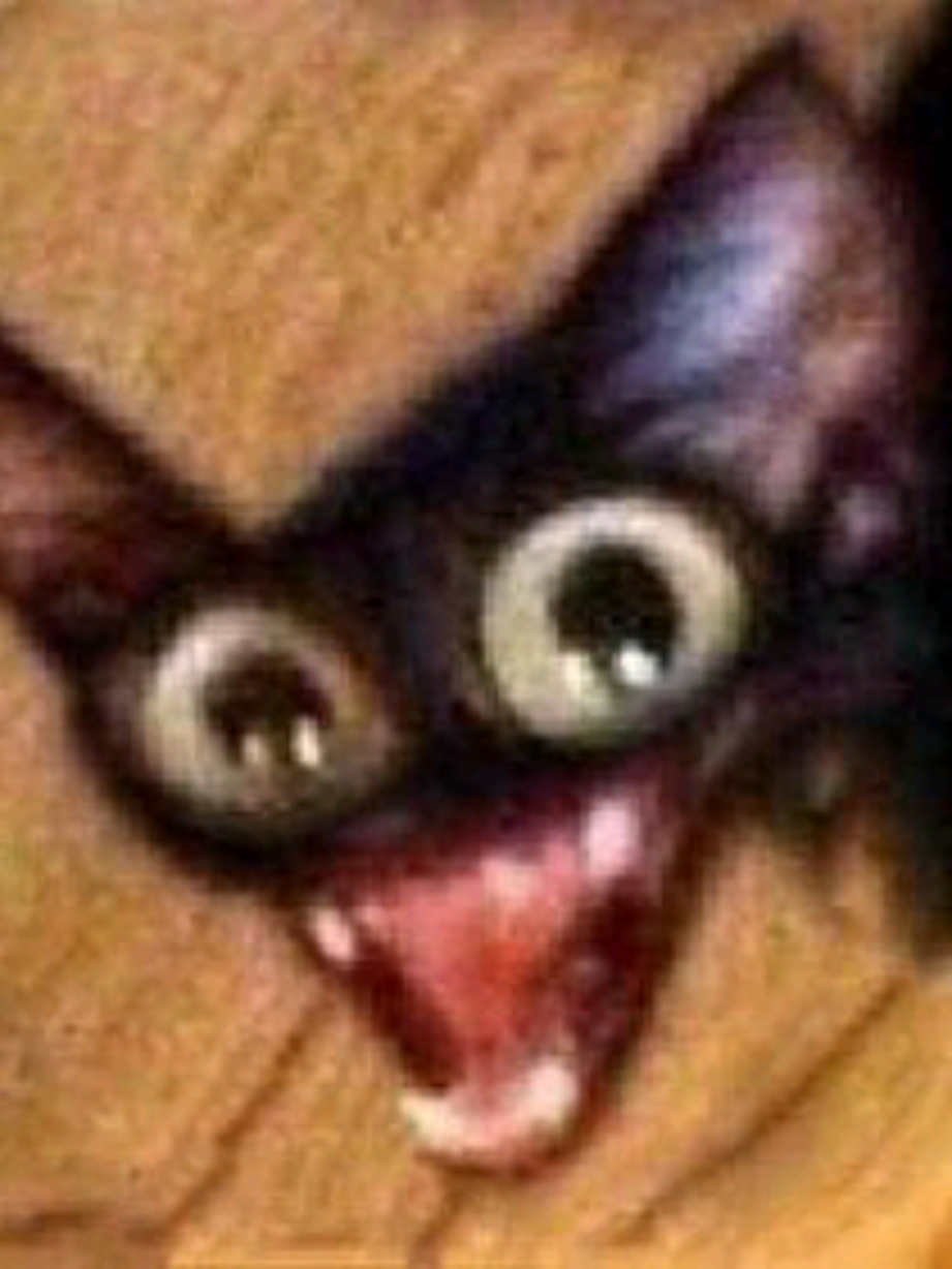 Gato preto bugado #gato #gatopreto #preto #bugado #foryou #black #shitpost #shitposting #meme #memesdaily #funnymeme #cat #cats #pets #cute #animal #catsoftiktok 