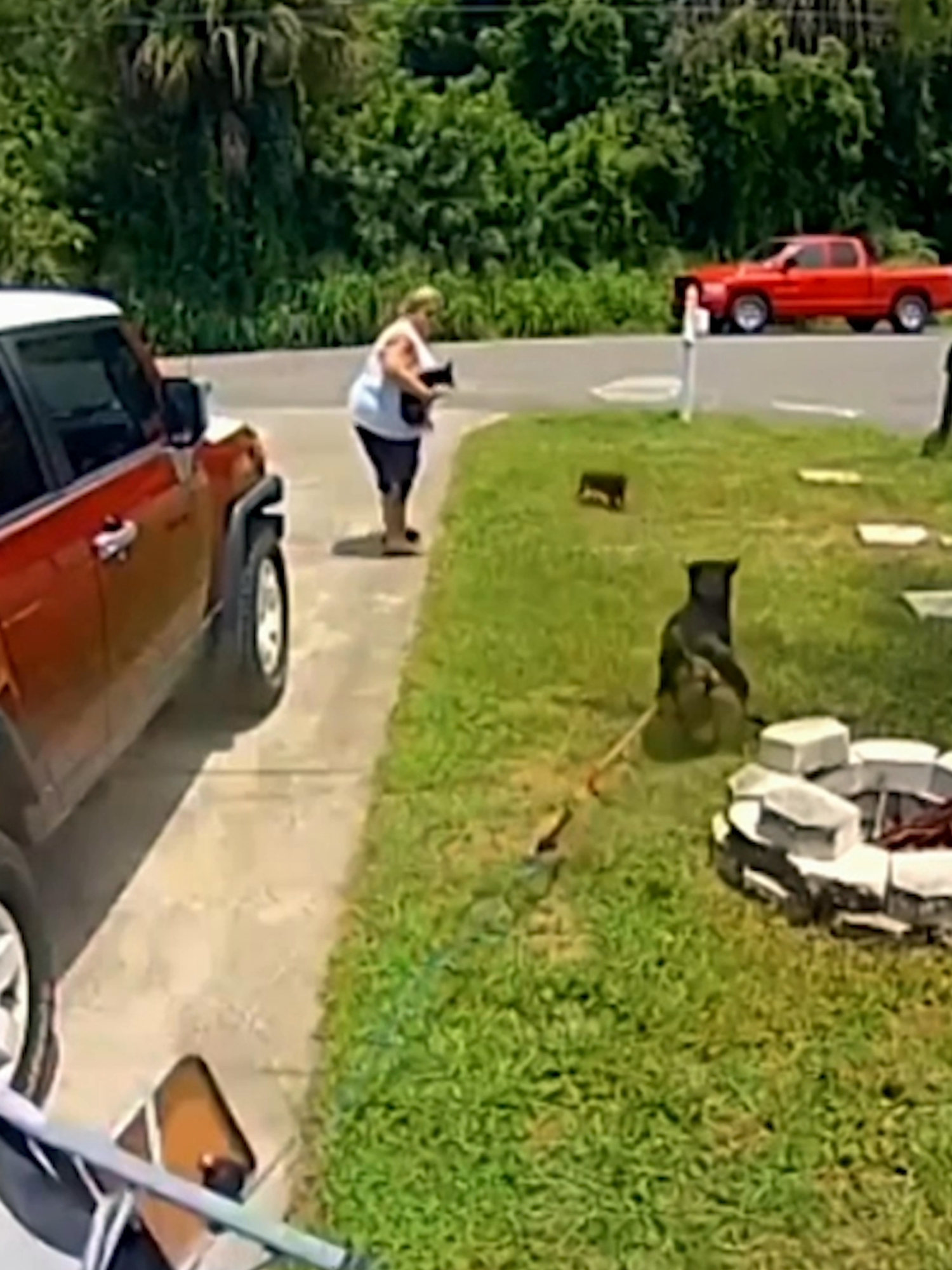 a planned attack 😭🐶 #Ridiculousness #funny #fail #dogsoftiktok