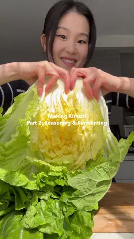 Part 2 Making Kimchi | Seasoning & Fermenting tips  #kimchi #kimchirecipe #koreanfood #cookwithme #EasyRecipes 