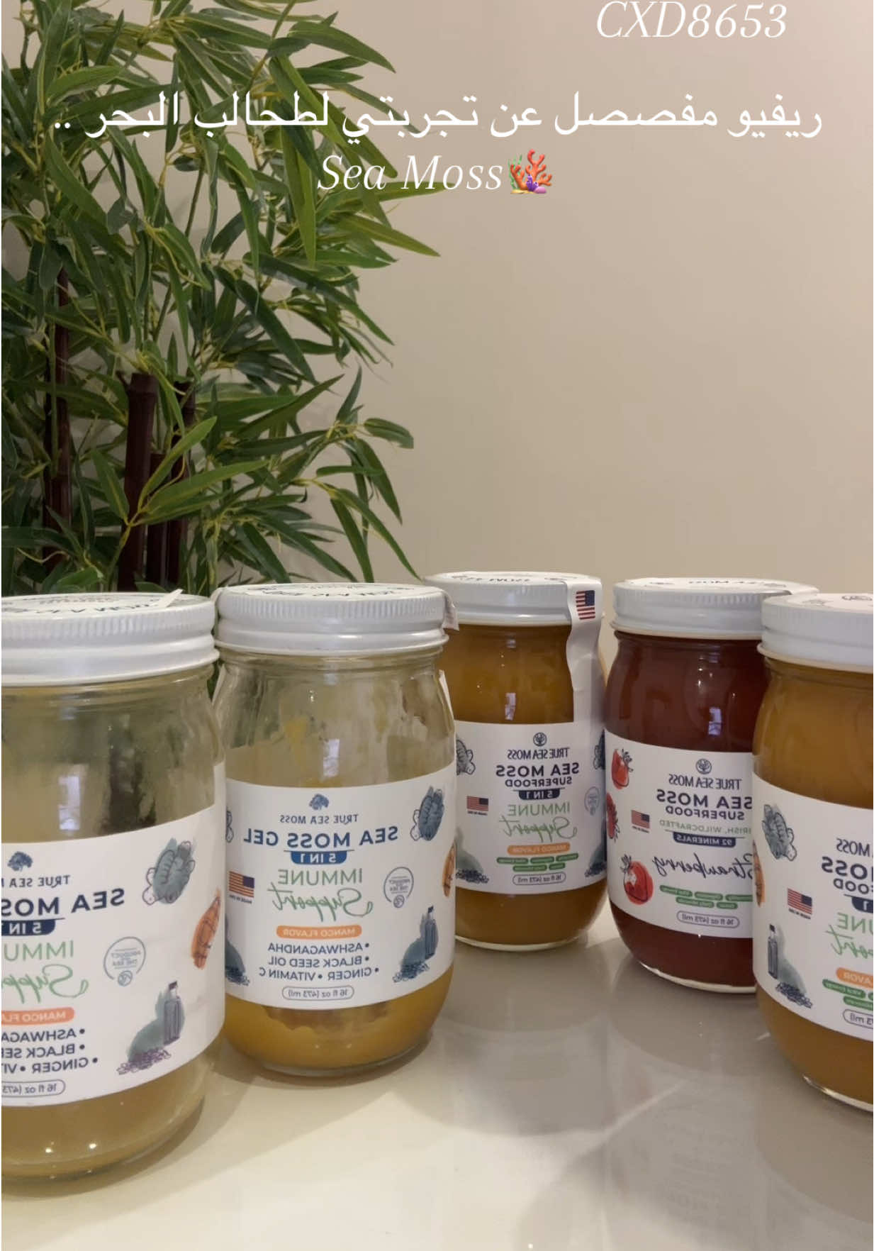 هذي تجربتي حاولت اعطيكم تفاصيل التفاصيل، اذا جربتوه عطوني تجربتكم؟ #fyp #foryoupage #explore #fypシ #fyppppppppppppppppppppppp #foryou #اكسبلورexplore #اكسبلور #seamoss #seamossgelmango #trueseamoss 