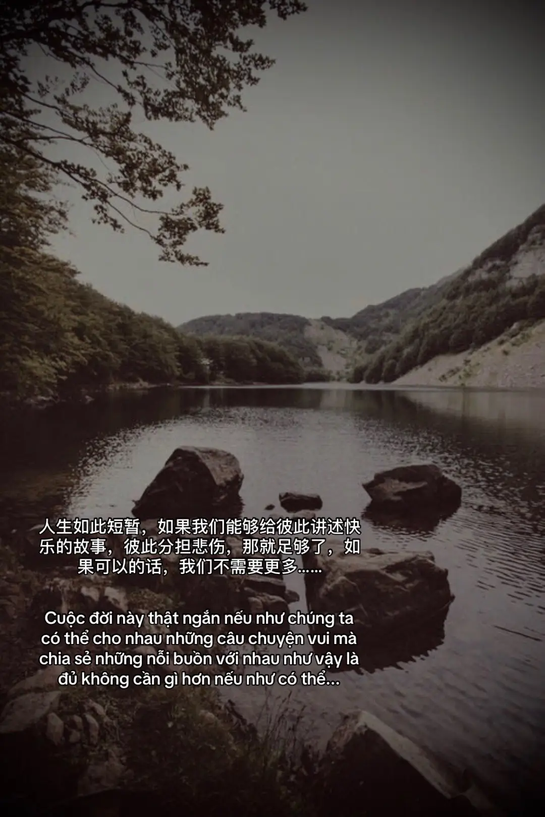 人生如此短暂，如果我们能够给彼此讲述快乐的故事，彼此分担悲伤，那就足够了，如果可以的话，我们不需要更多…… #doisongxahoi #doibac #viral 