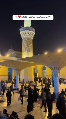 #مرقد_الشيخ_عبدالقادر_الگيلاني #اللهم_صلي_على_نبينا_محمد #ليلة_القدر #اكسبلورexplore #صلوا_على_رسول_الله #تفاعلكم #CapCut #احياء_ليلة_القدر #باب_الشيخ #مرقد_الشيخ_عبدالقادر_الگيلاني #الكفاح #اللهم_صلي_على_نبينا_محمد 