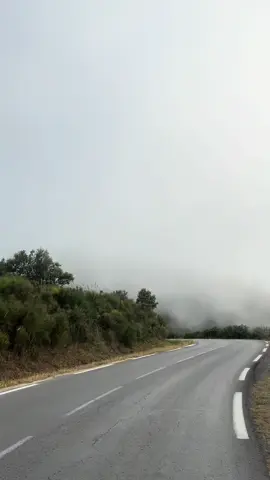 #سرايدي #سرايدي_عنابة_جوه😍🥰💖💖رة_الشرق #raoua #ذكريات #القلب_الحنون #بسكرية #raoua 