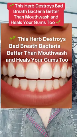 🌱 This Herb Destroys Bad Breath Bacteria Better Than Mouthwash and Heals Your Gums Too 🌱#badbreath  	2.	#OralCare 	3.	#GumHealing 	4.	#NaturalMouthwash 	5.	#gumhealth  	6.	#teethcare 