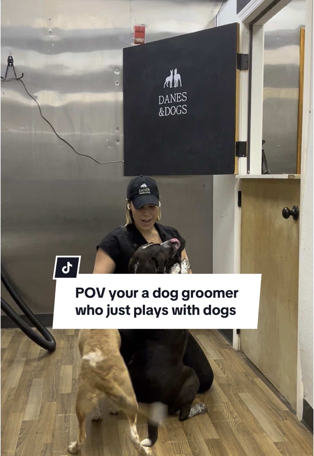 Yea sometimes I just do play with dogs all day 🐾 #doggroomer #LifeIsGood #dogmom #pet #PetsOfTikTok #puppy #dogs #petowner #petlover #forpetparents #dogtok 