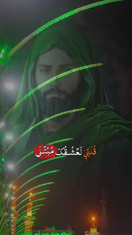 #الامام_الحسين_عليه_السلا #اشتشهاد_الامام_علي_أمير_المؤمنين #النبي_محمد_صل_الله_عليه_و_آله_وسلم #