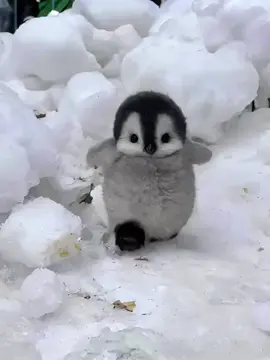 4k Live wallpaper 4k 