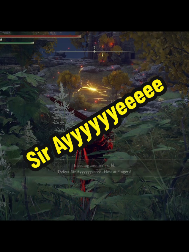 I will find you #fyp #foryou #foryoupage #eldenring #eldenringcommunity #soulsbornecommunity #eldenringinvasion 